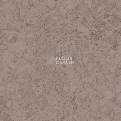 Линолеум Tarkett iq Megalit GREY BEIGE 0607 фото 1 | FLOORDEALER
